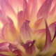 Image for article titled Shooting Challenge Freelensing Gallery 2